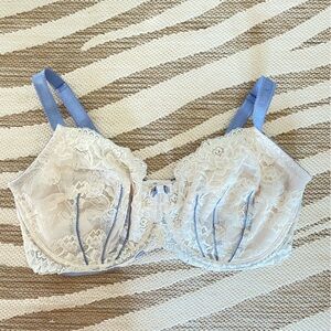 Plus size Coquette Lace Underwire Bra in Cream with Blue Straps